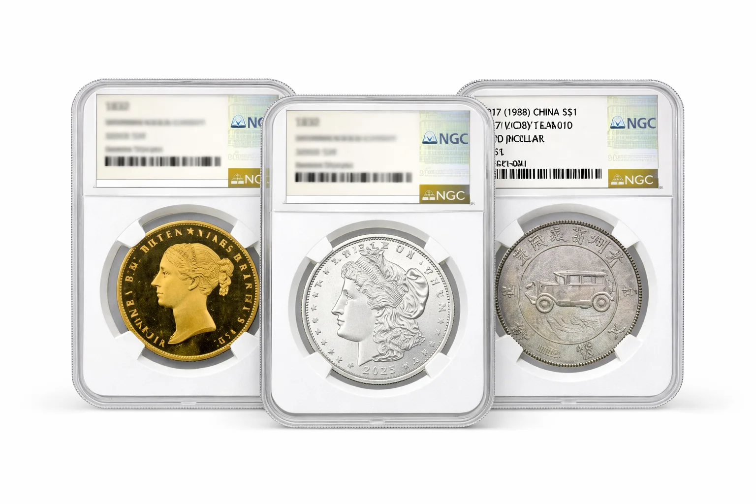 How NGC Verify Helps Collectors Check Slabs, Labels, and Certification Data